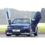 LSD Doors για Audi A4 B6/ A4 B7 (Typ 8H)